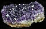 Deep Purple Amethyst Cluster - Uruguay #58126-1